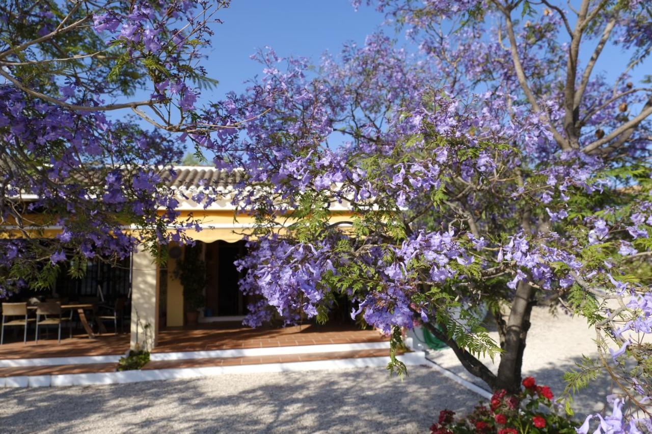 Finca Gordo Riogordo Exterior photo
